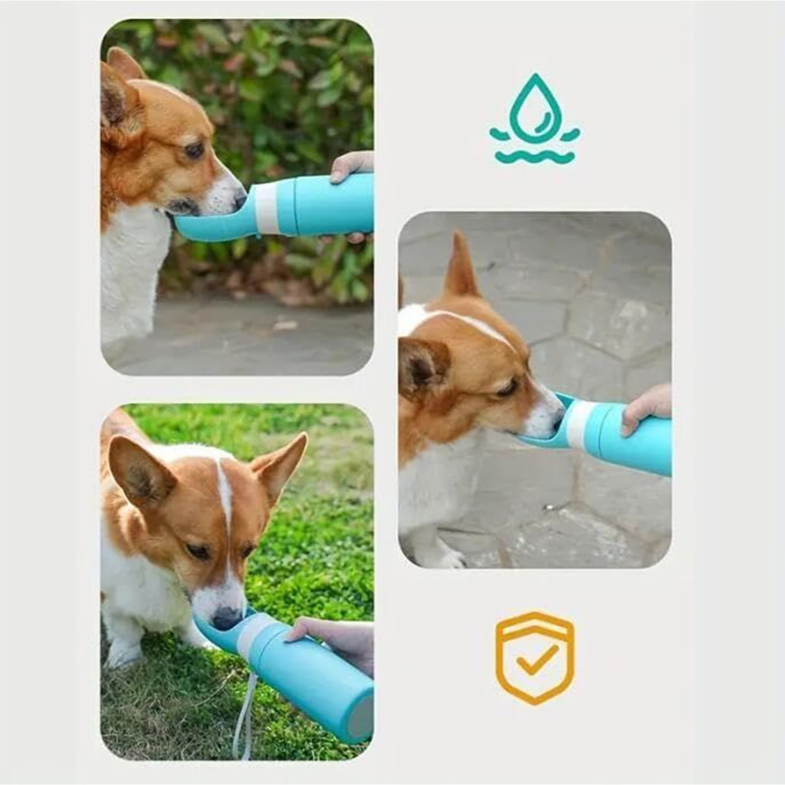 Gourde Pour Chien Distributeur Portable Anti-Fuite Sous Vide