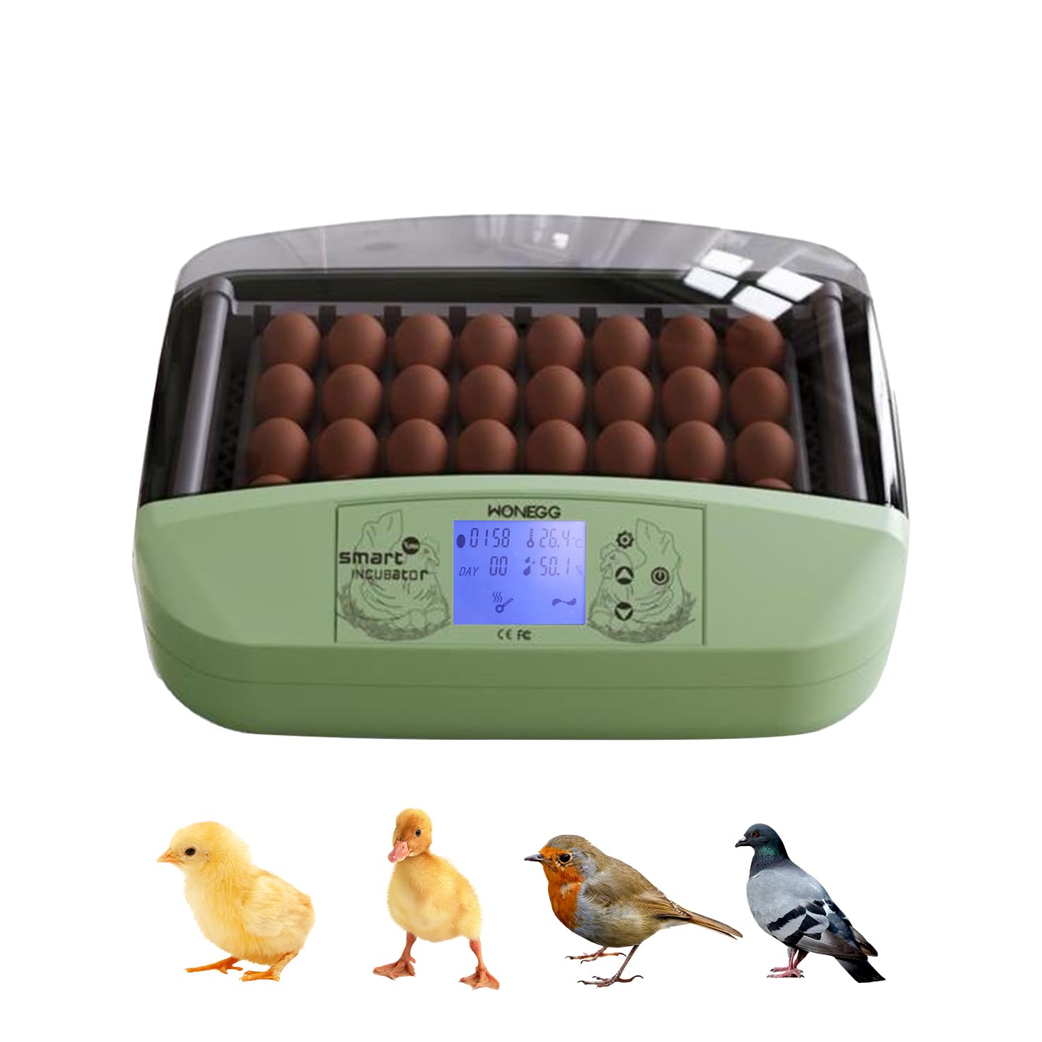 Buy Egg Incubator 3665 Eggs with Automatic Egg Turner, Temperature