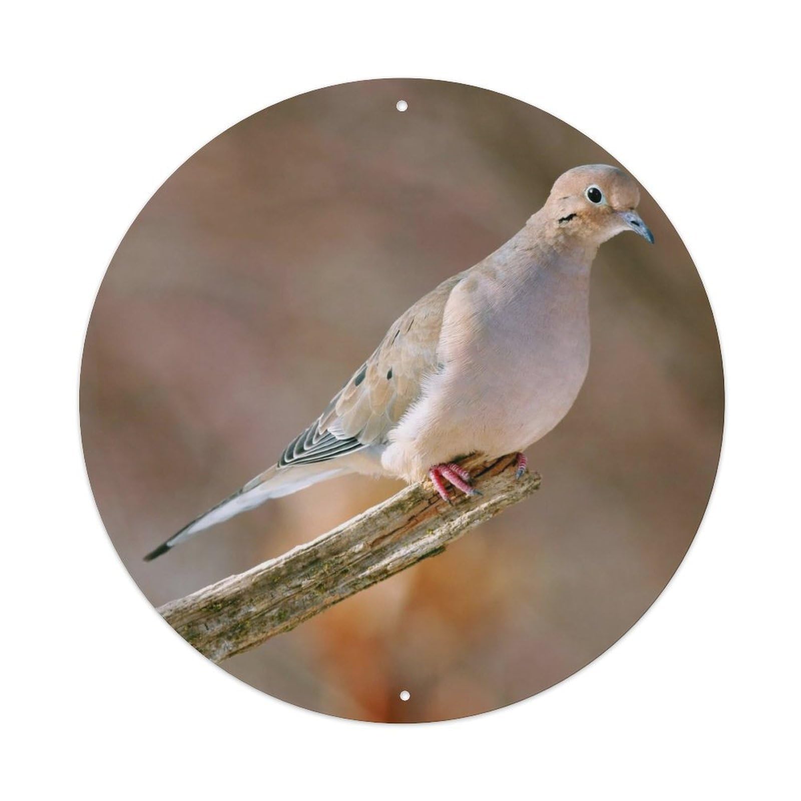 Animal Birds Mourning Dove 1 Vintage Metal Tin Sign Plaque Wall Decor for Cafe, Club Bar, Office, Garden Metal Poster 8x8Inch