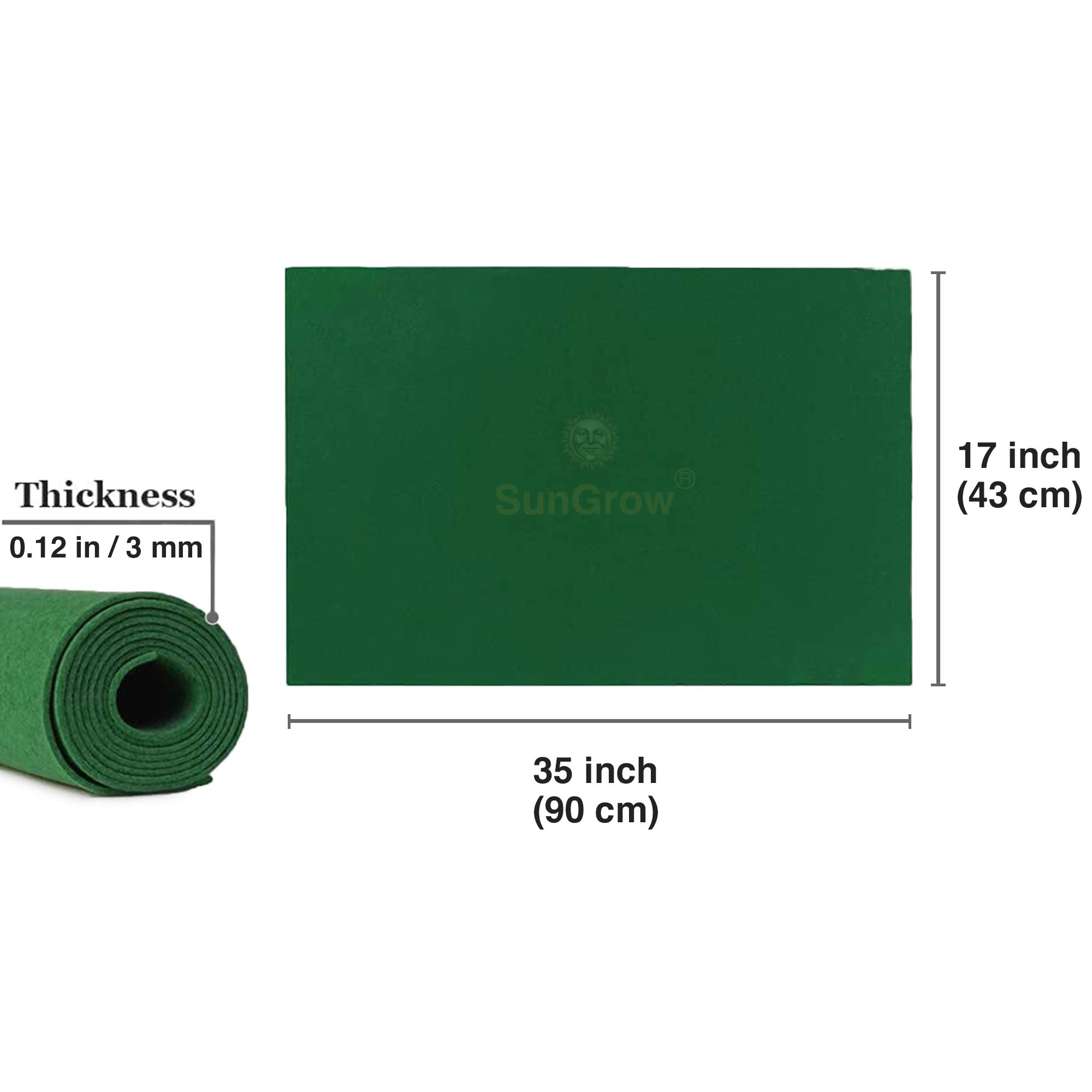 Alfombrilla Biodegradable de Lagarto (1 Unidad), no abrasiva, fácil de Limpiar, Color Verde, Hoja de Tela Multiusos de 1 Pulgada de Grosor, Forro de sustrato Seguro para terrarios, Tanques, Uso