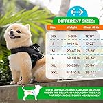 Joyride Harness 2.0 - The Original Side Ring No Pull Dog Harness - No Choke, Escape Proof, Reflective, 3 Leash Clips, Quick Fit Pet Vest - Easy Walks & Training - for Small, Medium & Large Dogs - Image 2