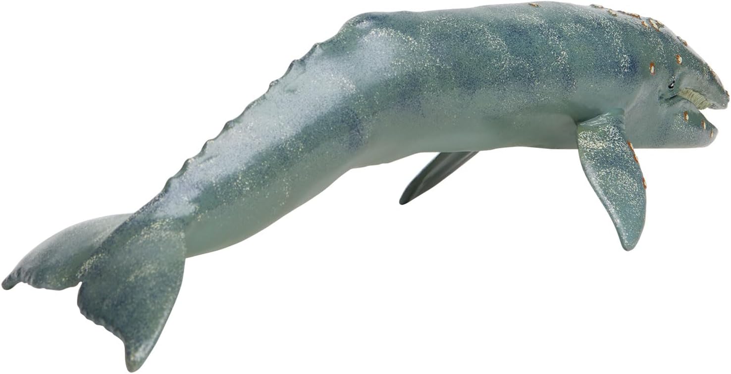 Safari Ltd. Gray Whale Figurine - Lifelike 12.5" Plastic Model Figure - Fun Educational Play Toy for Boys, Girls & Kids Ages 3+
