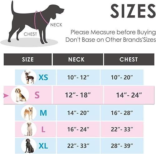 Miniatura 6 de PHOEPET - Arnés reflectante y ajustable para perro con asa de entrenamiento, bolsillo para identificación de nombre, 2 ganchos de metal para correa,