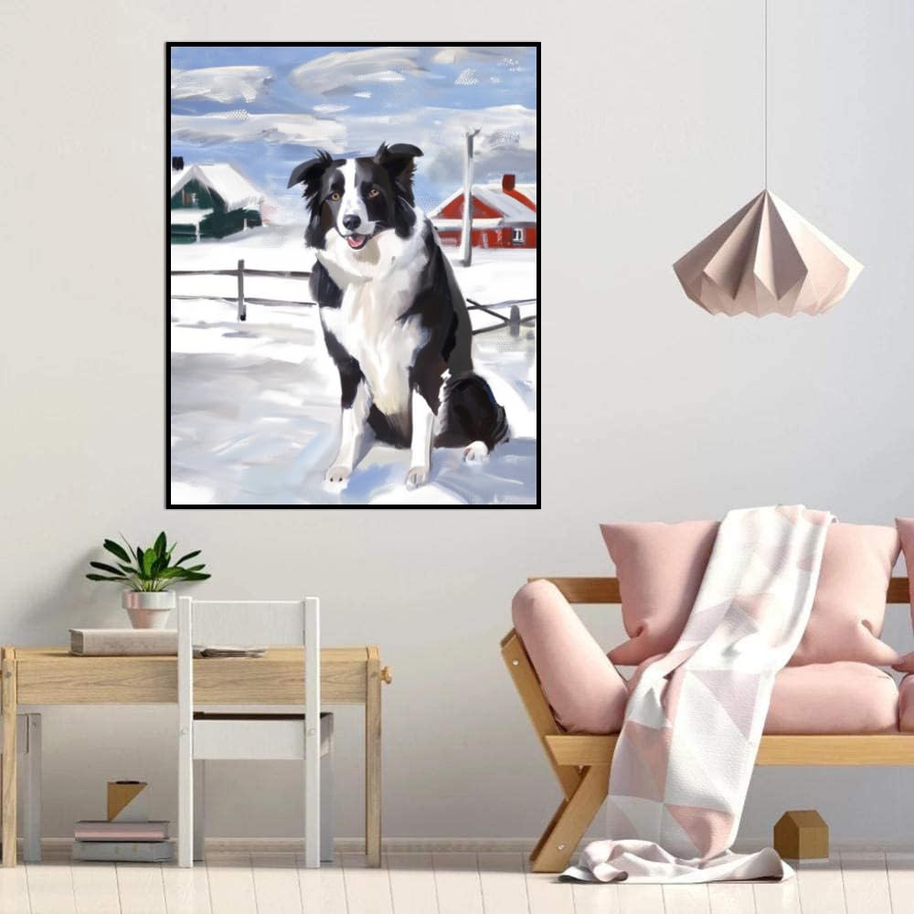 Paint by Numbers for Adults Beginners Border Collie Dog Gift Birthday Anniversary or Any Festival. DIY Acrylic Painting Kit for Room Decor Canvas 16x20inch(40x50cm) Frameless