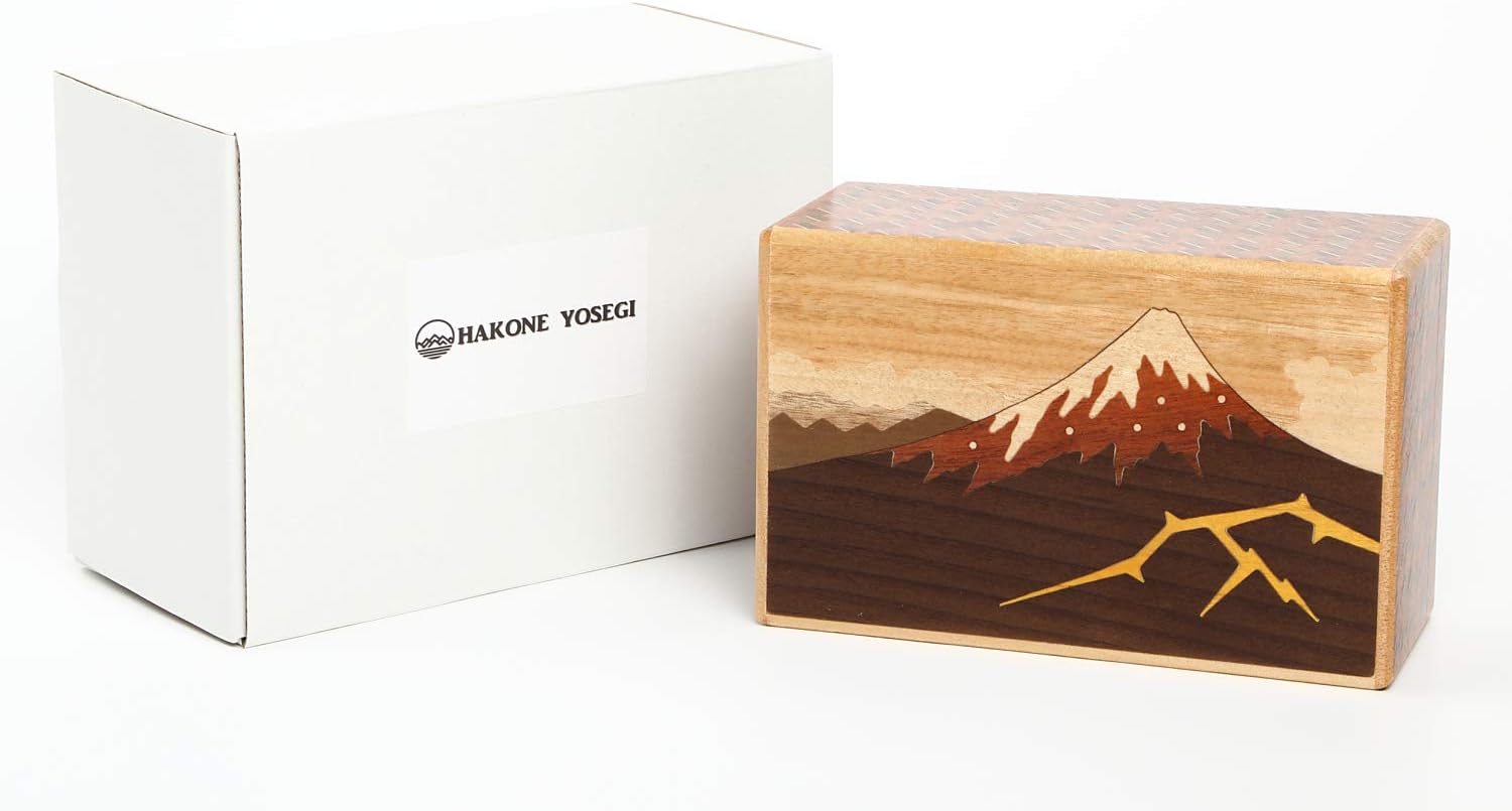 Hakone Yosegi Japanese Puzzle Box, Wooden Puzzle Box, Brain