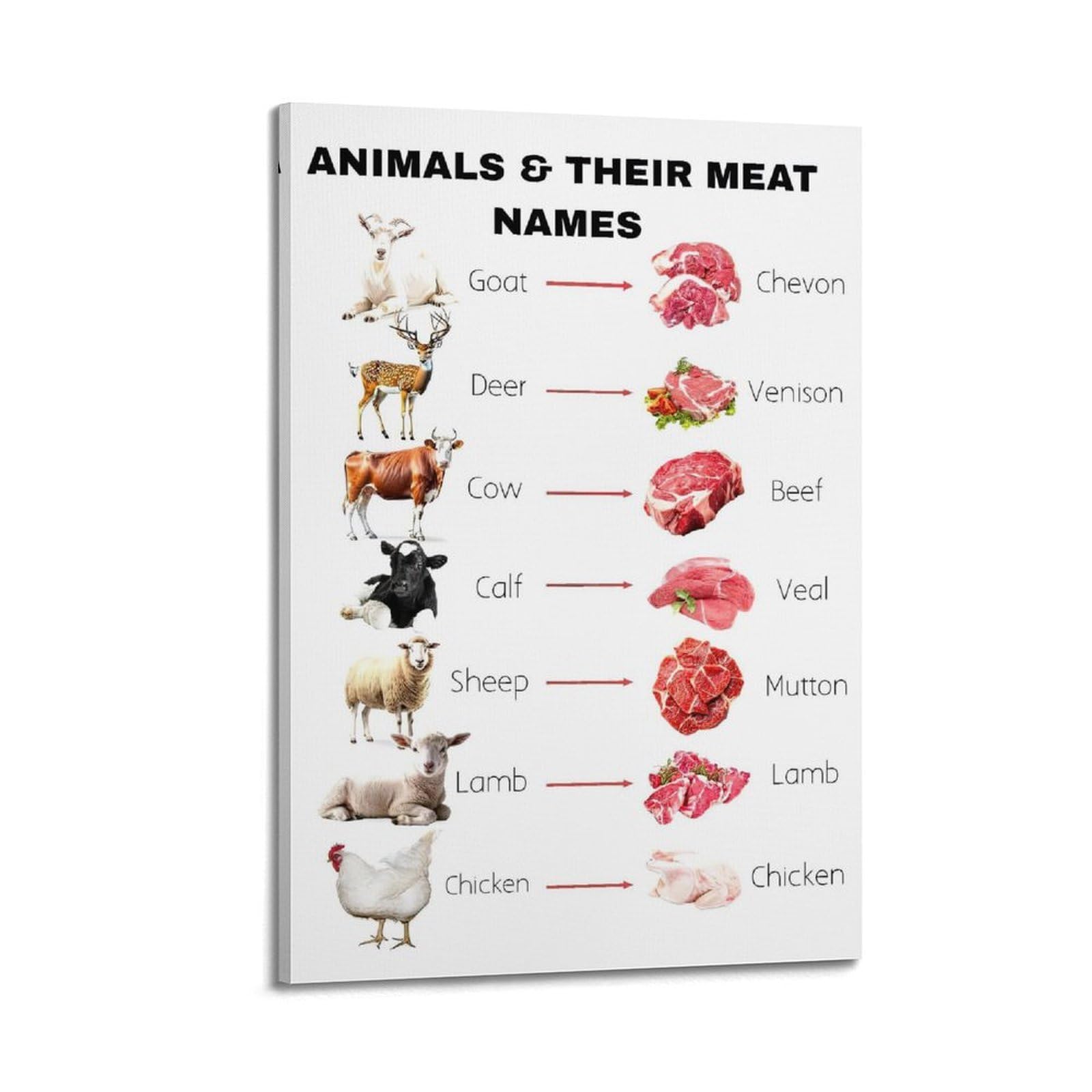 OKAHYS Animals Their Meat Names Artwork Poster Decorative Painting Canvas Wall Artworks Picture 12x18inch(30x45cm)