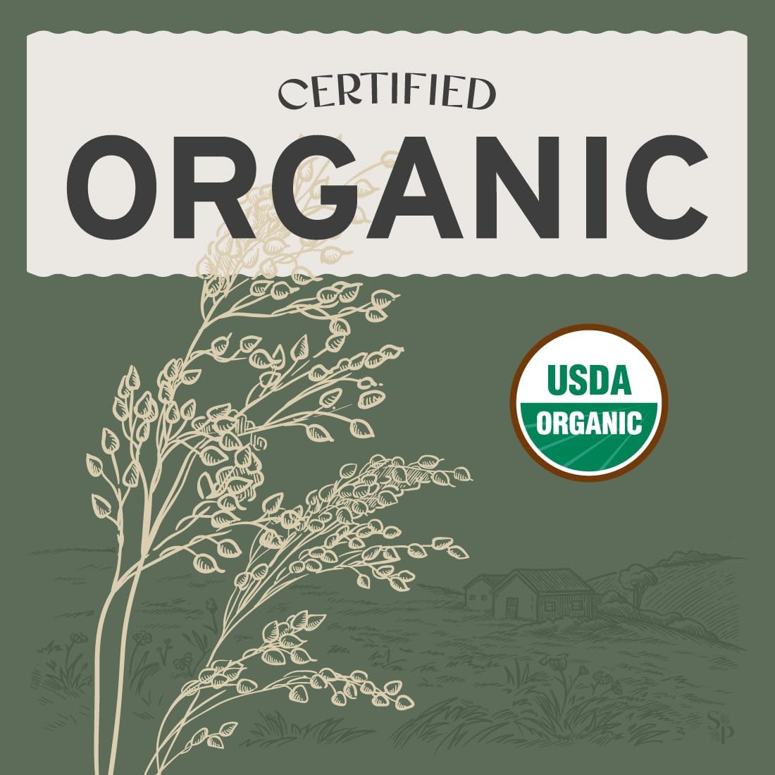 Sassafras & Pumpernickel Organic Millet with Hulls (10 lbs) USA Grown and Packaged, Bulk White Proso Millet for Birds