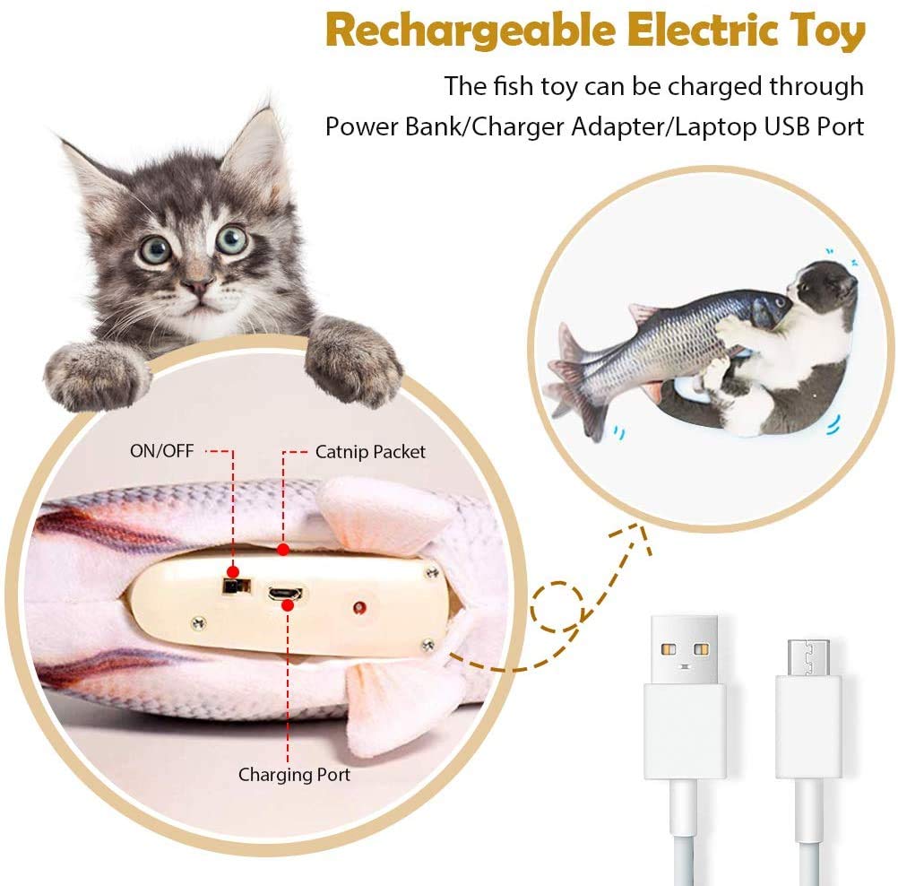 6 Plateaux Flottants Pour Pêche Au Poisson-chat – Rigs Catfish, EVA Et Acier Inox, Multicolore