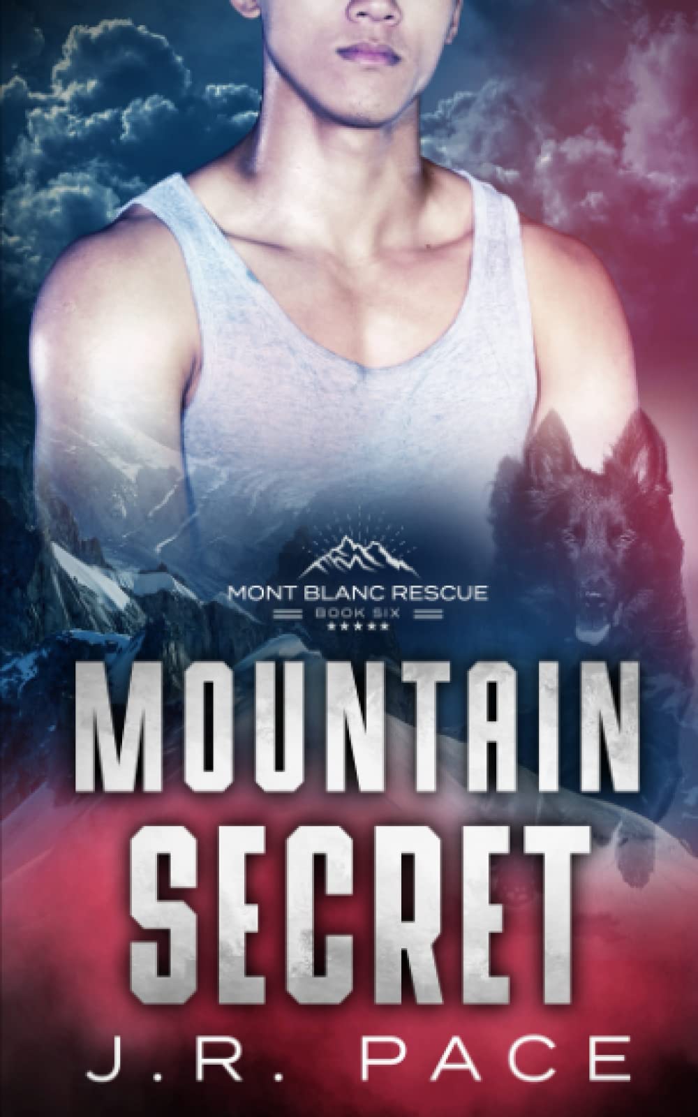 Mountain Secret: 6 (Mont Blanc Rescue)