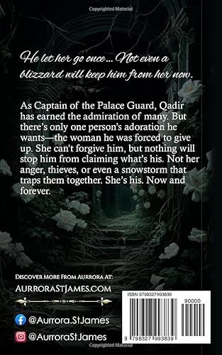 Qadir: A Second Chance Fantasy Romance (Lords of Magic)