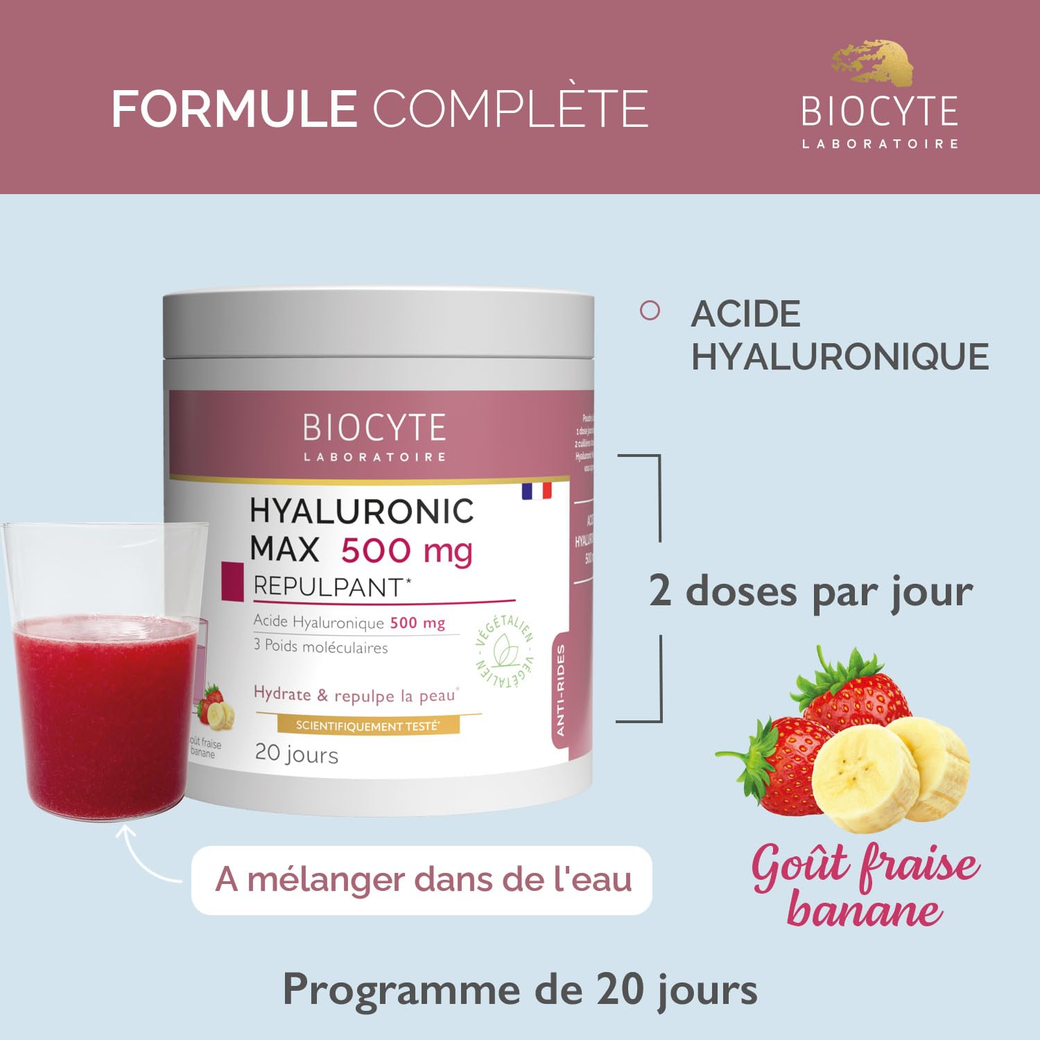 BIOCYTE Hyaluronic Max - Complément Alimentaire Anti-Âge Repulpant - Poudre à Diluer A base d'Acide Hyaluronique - 500 mg - Programme de 20 Jours