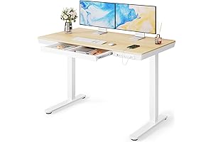 48 x 24 inch Marsail Electric Solid Desk: Work Comfortably, Stand Productively