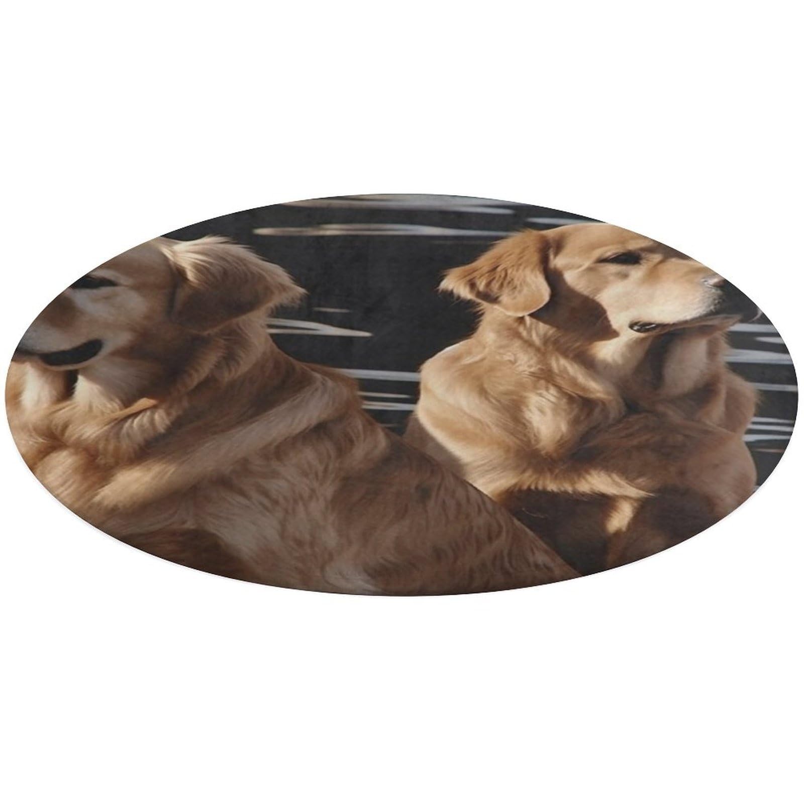 Alfombra de Golden Retrievers lavable para llenar de alegría tu habitación