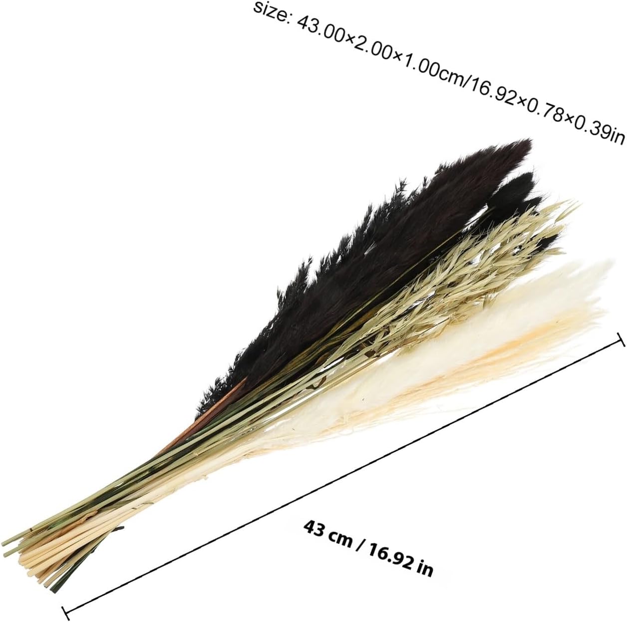 NUOBESTY Natural Dried Reeds Bouquet Pampas Flower Arrangement Home Decor Black Reed Set for Living Room Window Display Dried Floral Ornament