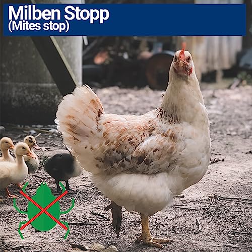 3X 1000ml Milbenspray für Geflügel wie Hühner & Vögel - Sofort & Langfristig gegen Parasiten, bei Akut & Vorbeugung (3X 1000ml)