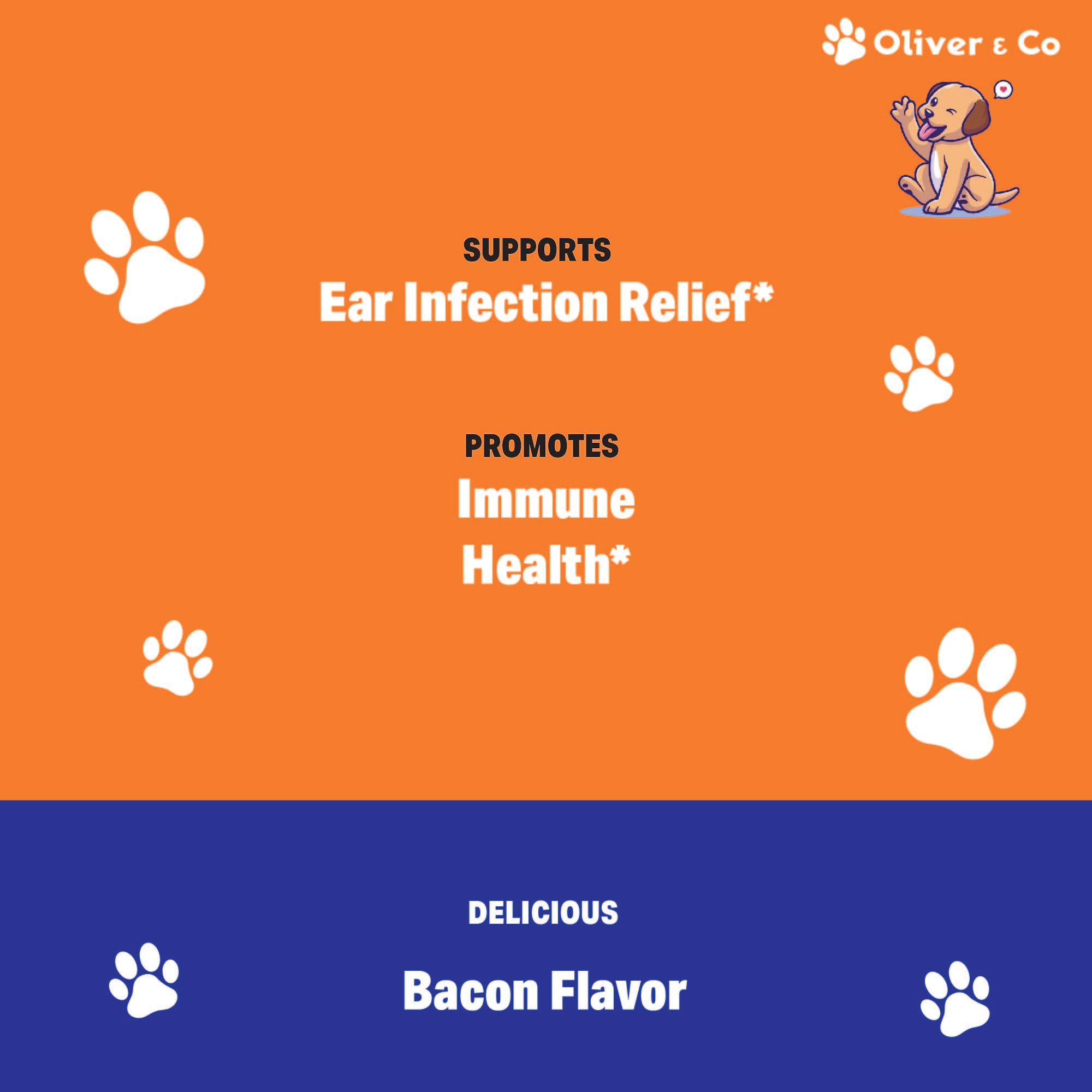 Natural Dog Ear Cleaner and Infection Treatment for Dogs - Dog Drops for Itching, Irritation, & Redness - Ear Infection Treatment for Dogs - 1 fl oz - Bacon Flavor - image 3