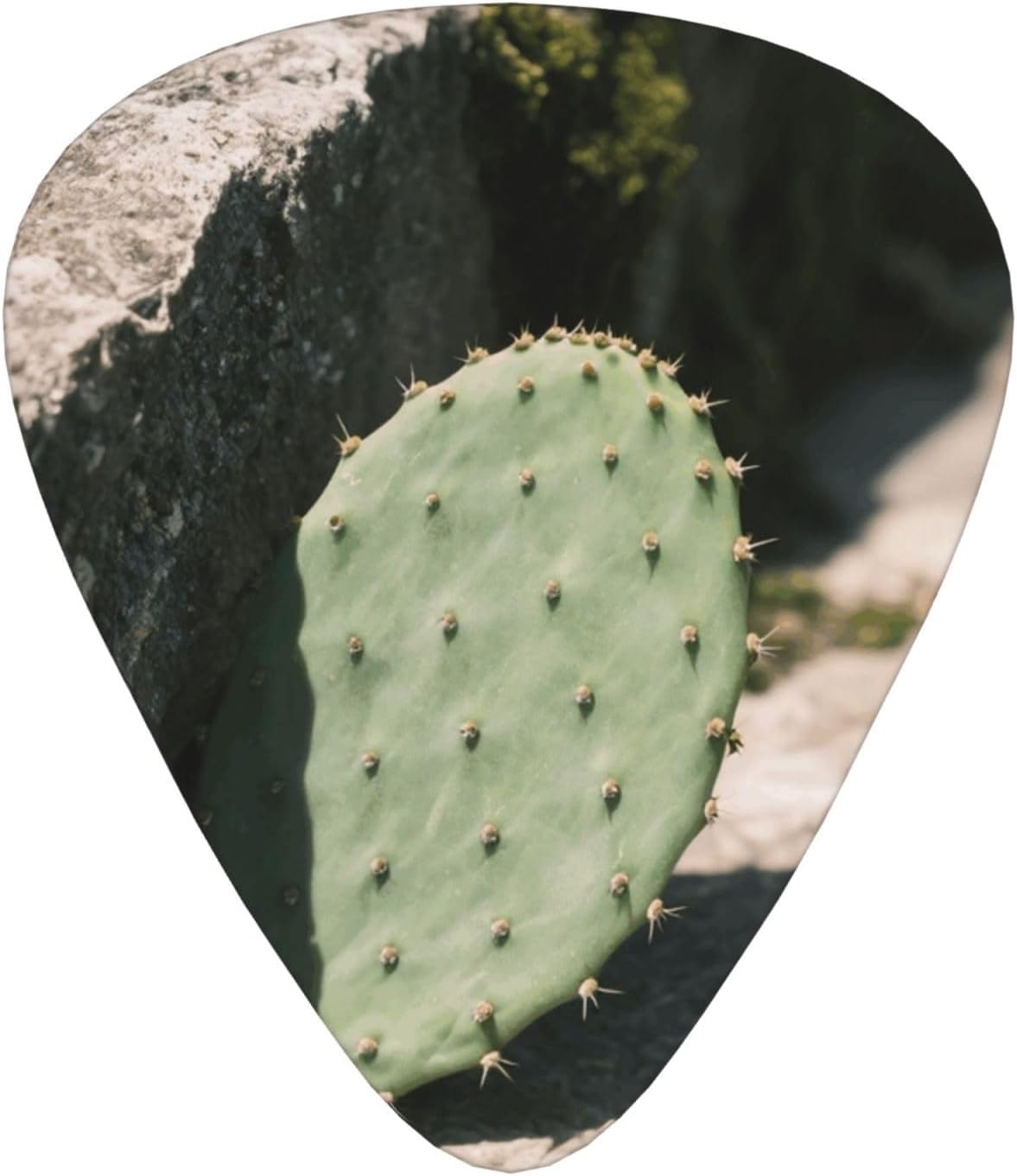Cactus print Guitar Picks With Storage Box Resistant Guitar Pick 12 Pack Guitar Accessories for Electric Guitar Ukulele Bass Personalized Gifts image 2