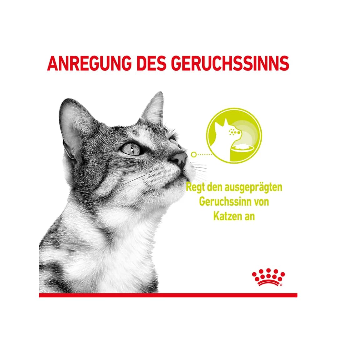 Royal Canin Sensory Multipack | Pack de 4 | 4 x 12 x 85 g | Alimento Completo para Gatos Adultos | Olor, Sabor, Sensación