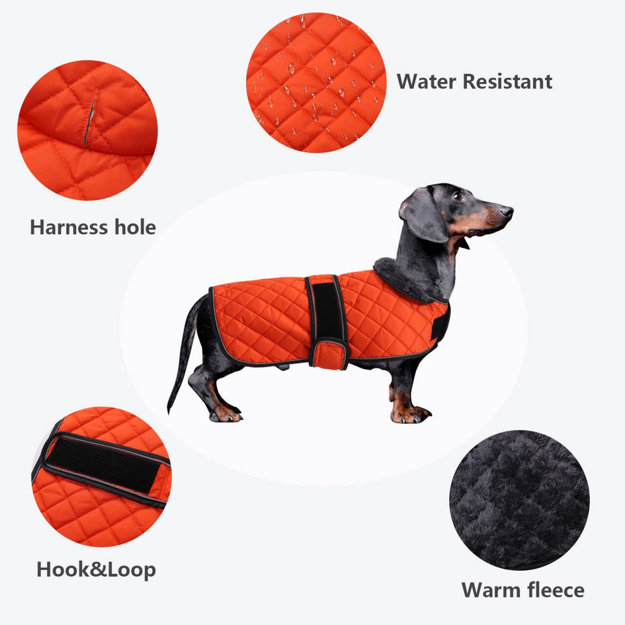 Morezi Dachshund Winter Coat - Padded Fleece Lining, Adjustable Bands - Orange - S, Small(Back: 36-38cm) - Image 3