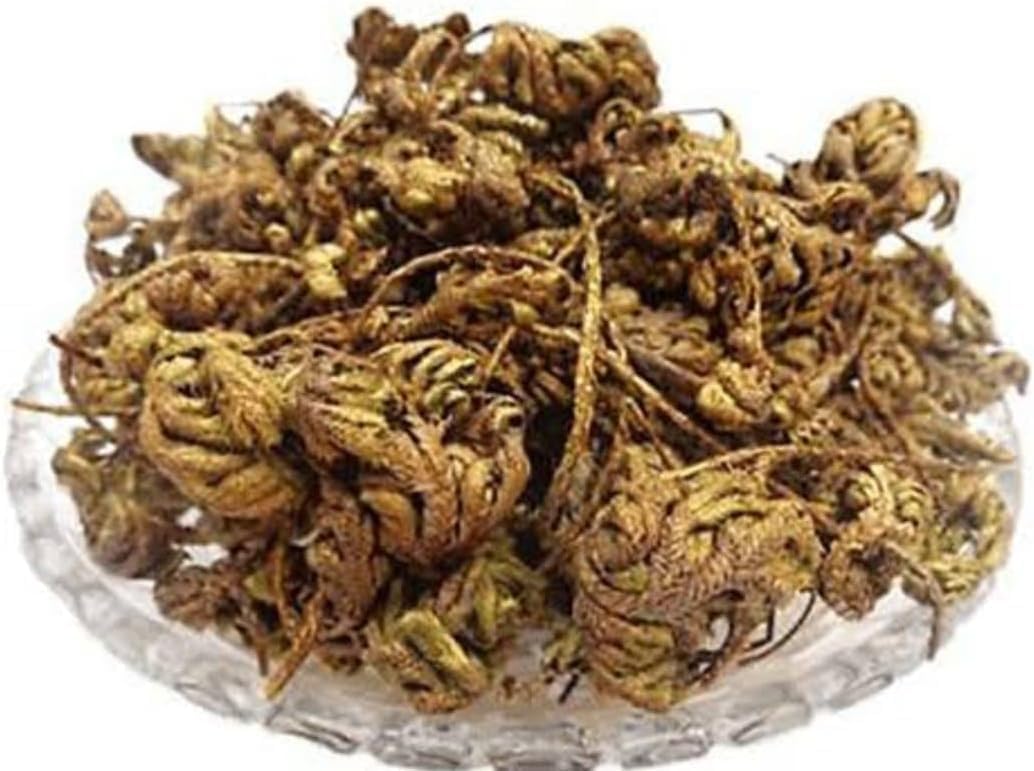 UE Laxmana Booti | Sanjeevni Booti | Sanjivani | Lakshmana Buti (Selaginella Bryopteris) | Rare Ayurvedic Herb for Energy, Immunity & Traditional Remedies – Pure & Natural (Pack of 50G)