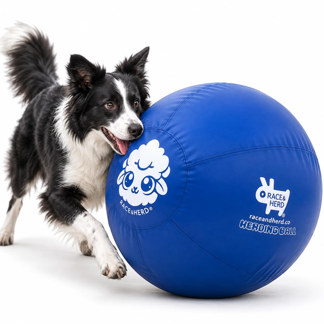 Race&amp;Herd 25" Original Herding Ball — Cover, Inner Ball &amp; Pump (Ocean)