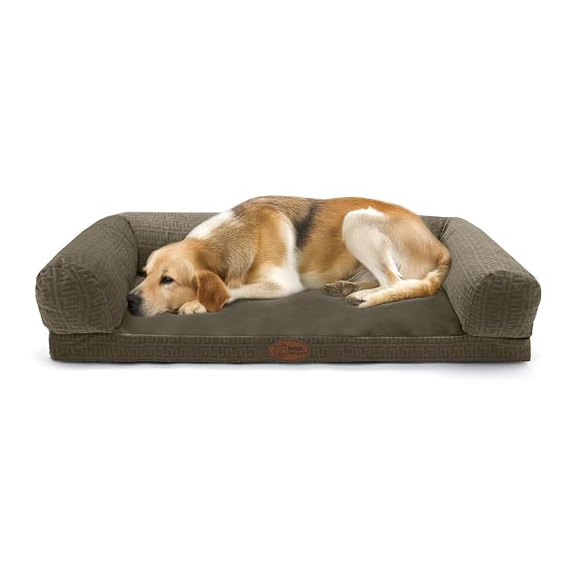 PATAM Cama para Perros y Gatos, Colchón con Funda Lavable, Fondo Antideslizante, Disponible en 4 tamaños