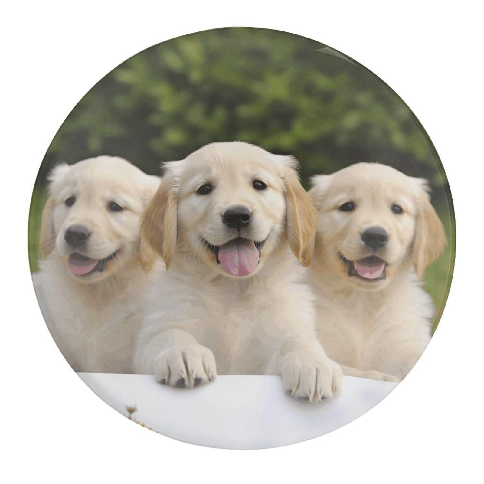 THE DOGアートリストコレクション/ゴールデンレトリバー ポータブル温冷蔵庫 THE DOGアートリストコレクション/ゴールデンレトリバー