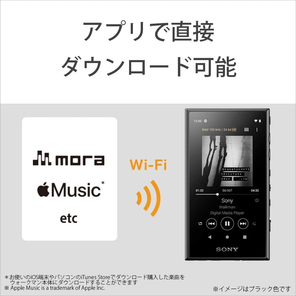 Sony NW-A100TPS Walkman 16GB A Series High India | Ubuy
