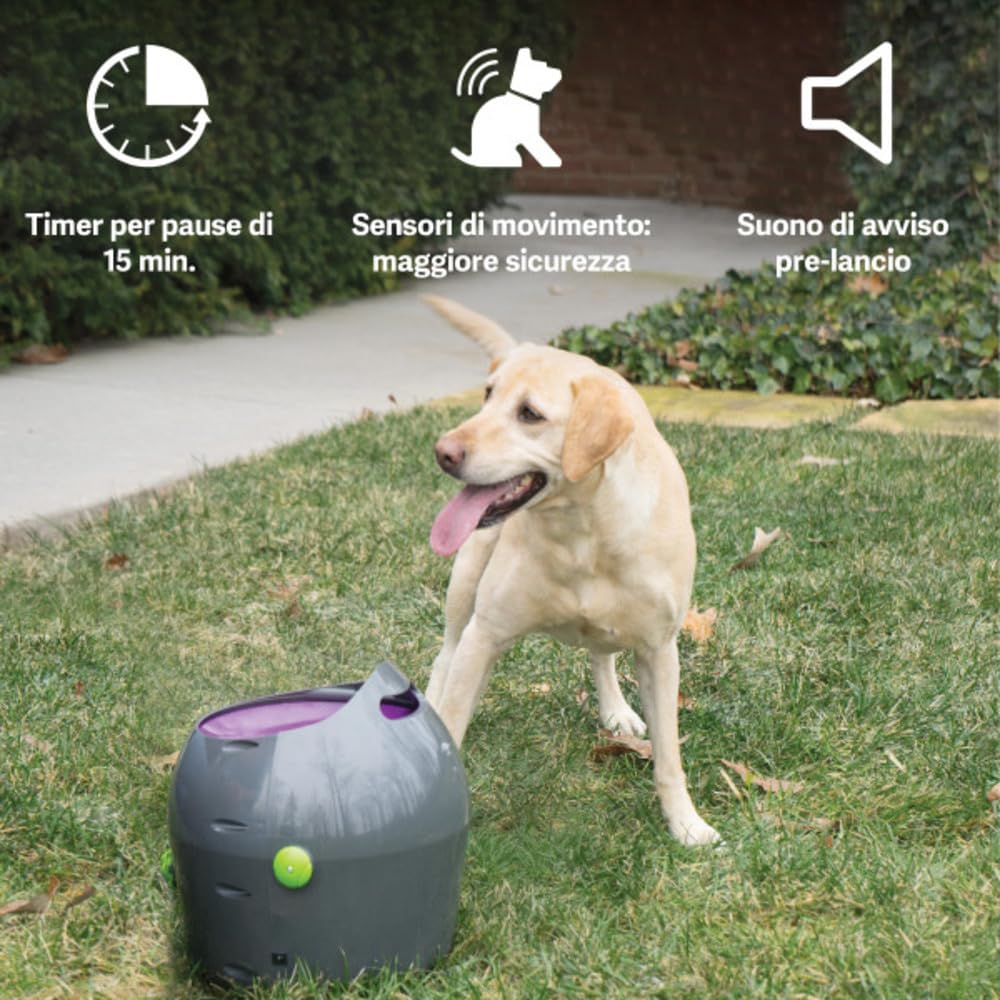 PetSafe Lancia Palline Automatico | Gioco Interattivo di Riporto, Distanza Regolabile, Palline da Tennis Incluse