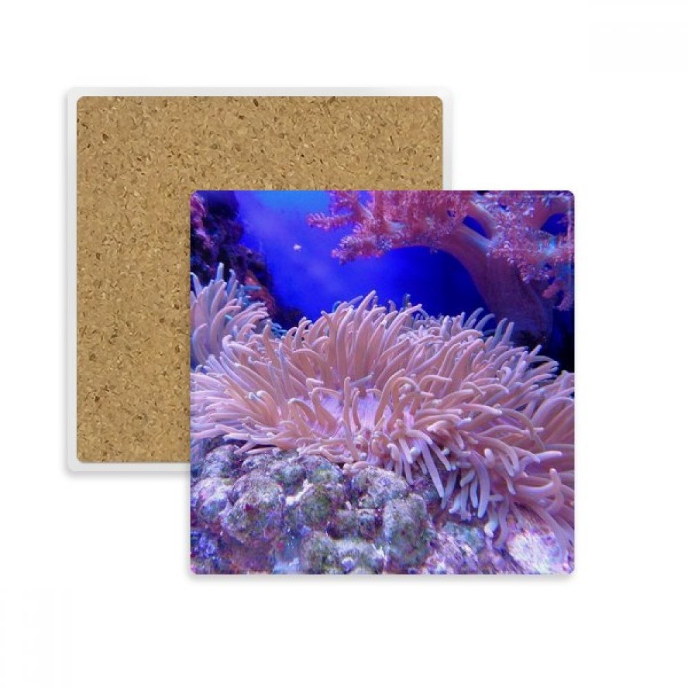 Sous-verre en pierre contre les taches d'eau avec motif corail océan multicolore