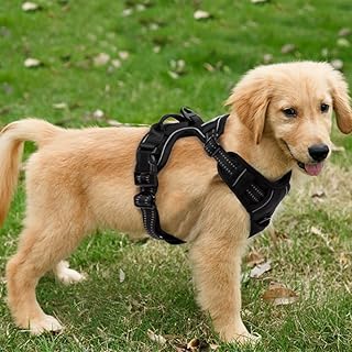 FSROOMZ Anti-Pull Dog Harness for Small and Medium Dogs, Anti-Pull Puppy Safety Harness, No Pull Dog Harness, Soft, Padded, Adjustable, Breathable, Reflective Stripes Chest Harness (S) product image