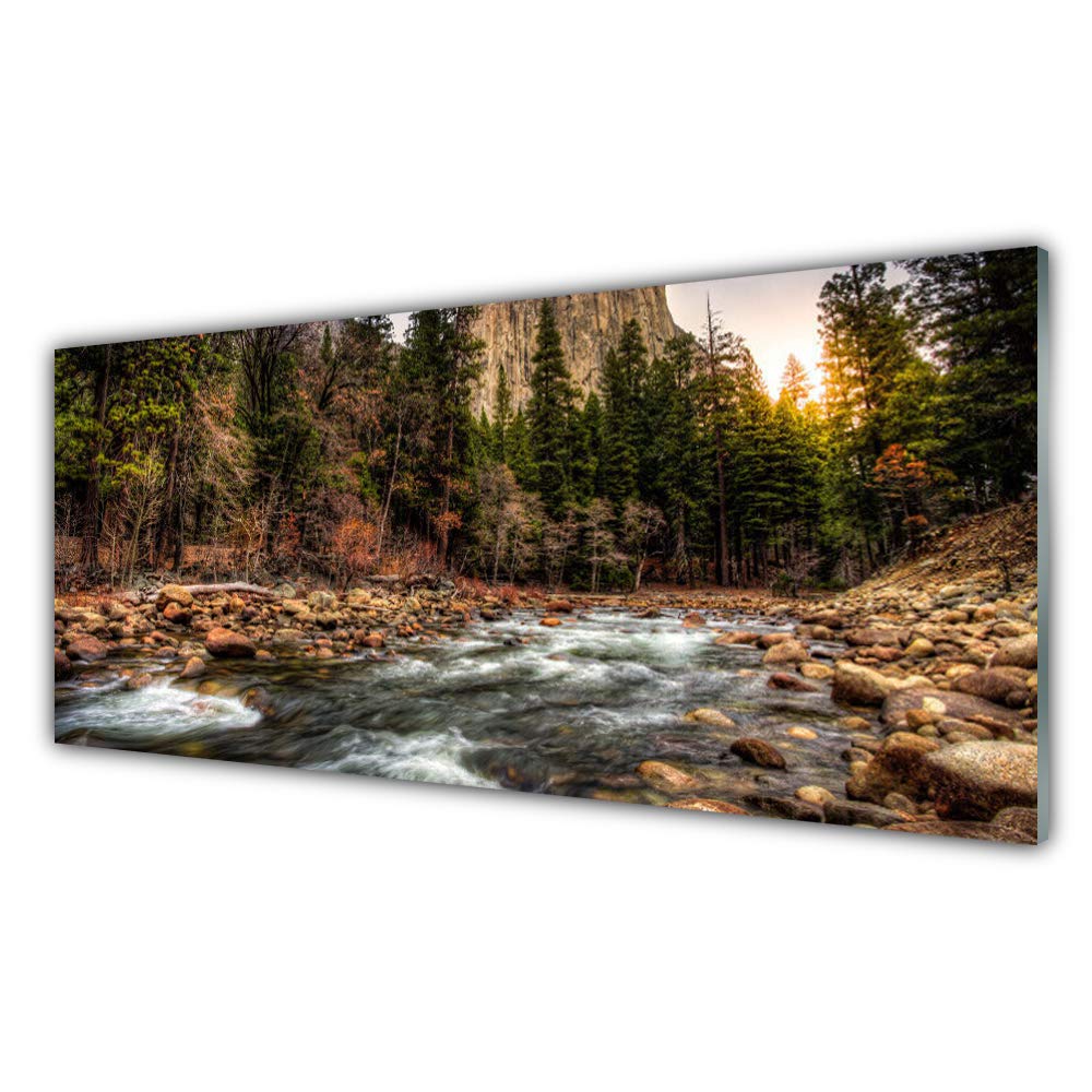 Tableau en verre acrylique forest lake nature Tulup 125x50 cm pour décoration murale