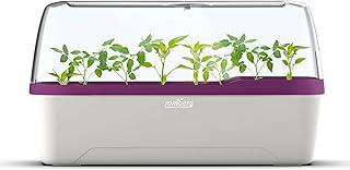 Romberg BoQube L Plus Mini Gewächshaus Anzuchtset & Pflanzkasten mit 10 selbstbewässernden Pflanzzellen und Bewässerungssystem, Zimmergewächshaus für Indoor Kräutergarten, 41×17×23, Weiß - Pflaume