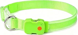 Leuchthalsband Hund – USB aufladbares LED Hundehalsband, verstellbar & wasserdicht, 3 Leuchtmodi, superhelles Sicherheitshalsband für Mittlere & Große Hunde (Grün, M)