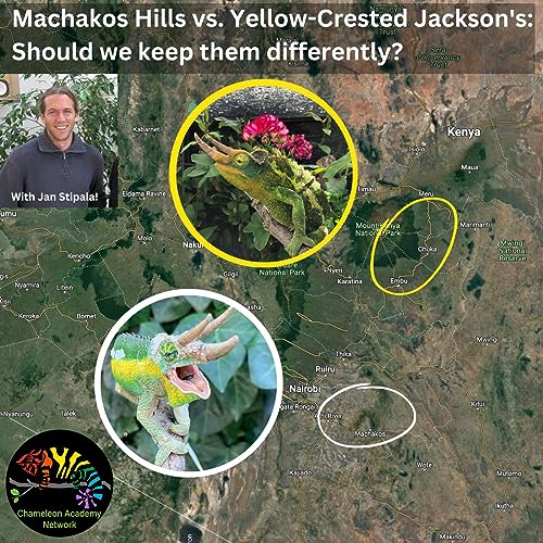 Should we keep Machakos Hills Jackson's and Xantholophus the same? Podcast Por  arte de portada