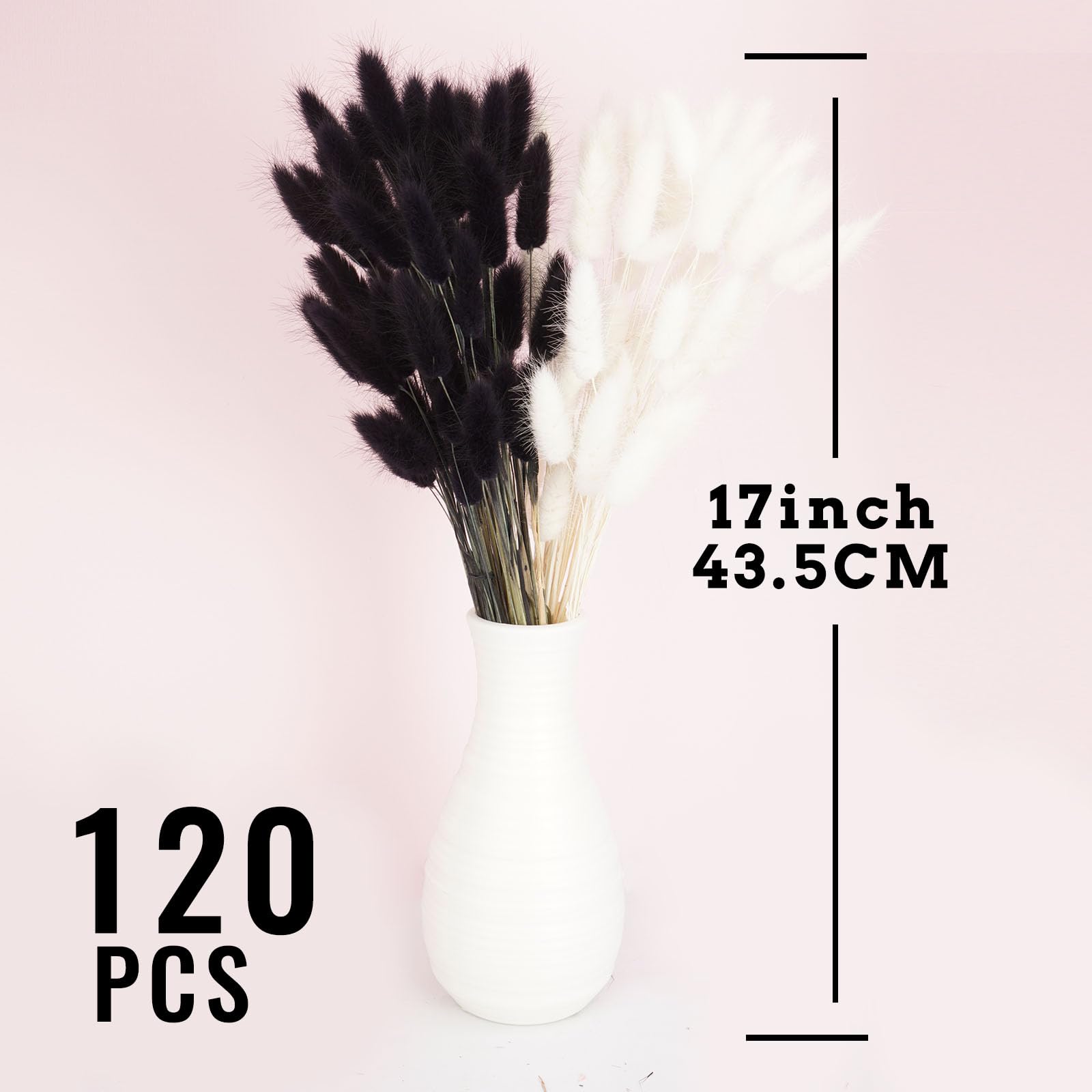 Lot de 120 fleurs séchées à l'herbe de la pampa pour vase, fleurs séchées pour haleine de bébé, décoration de mariage, fleurs sèches pour vase (blanc 60 pièces + 60 noirs)