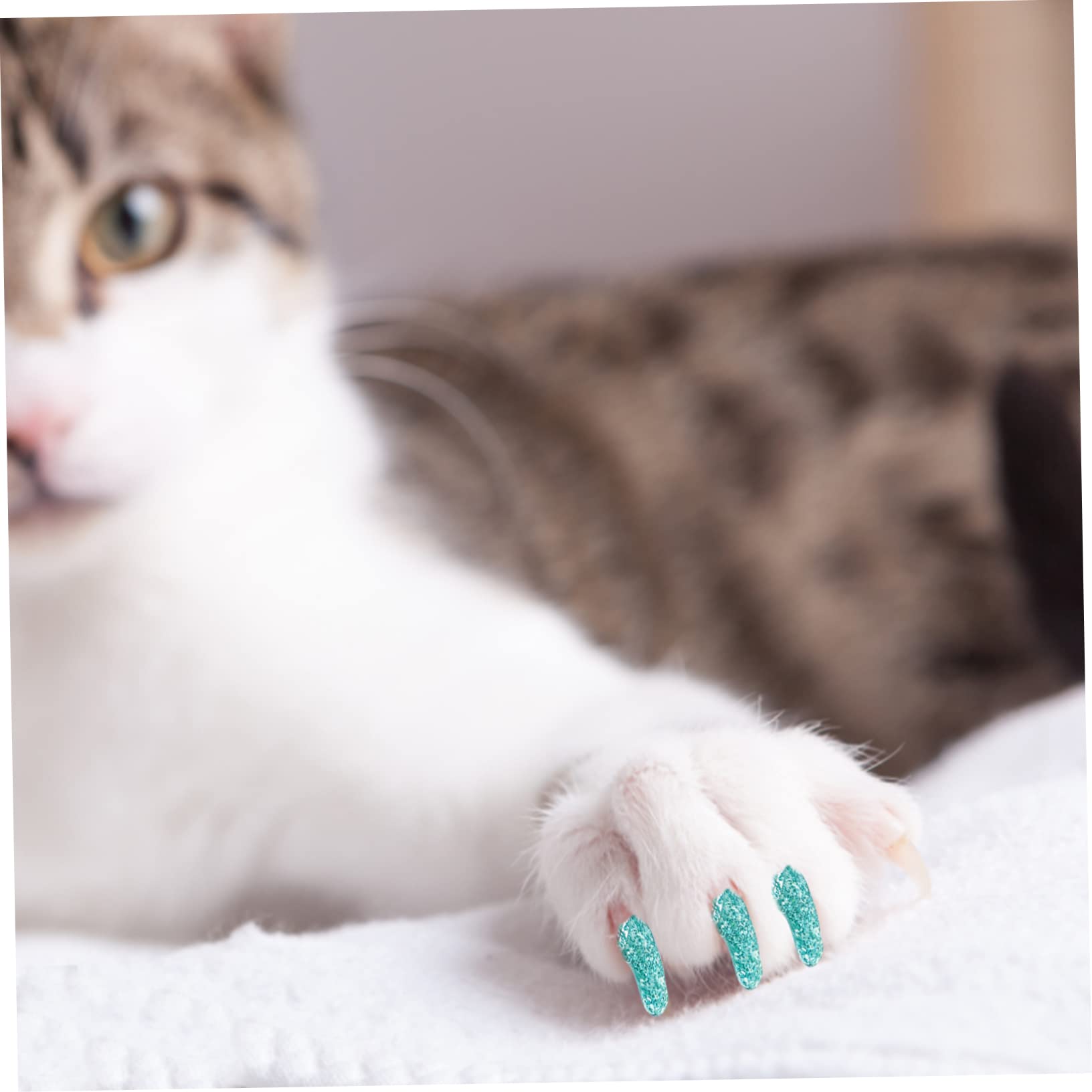 Kisangel 40 Ensembles kit d'ongles de Chat Couvre-Ongles pour Chat Griffes de Chat avec de la Colle Chaussette Patte de Chat Capuchon d'ongle Chat Couvre-Ongles pour Animal de Compagnie