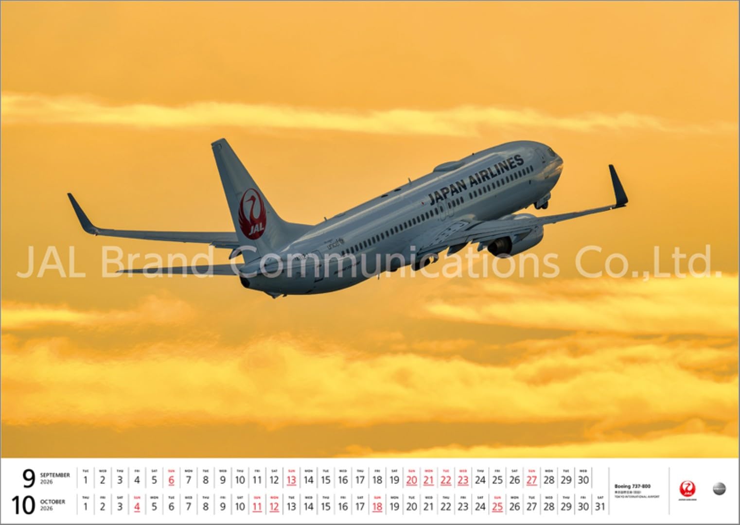 JAL FLEET 大型判（日本語版）2026 日本航空　カレンダー Amazon | JAL「FLEET」（大型判） 2026年 カレンダー 壁掛け(ケース