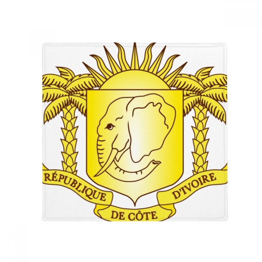 Tapis de sol Côte d'Ivoire antidérapant carré 80 cm pour maison et animaux