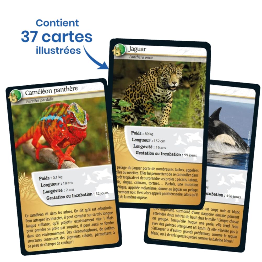 DEFIS NATURE - EDITION SPECIALE - ANIMAUX