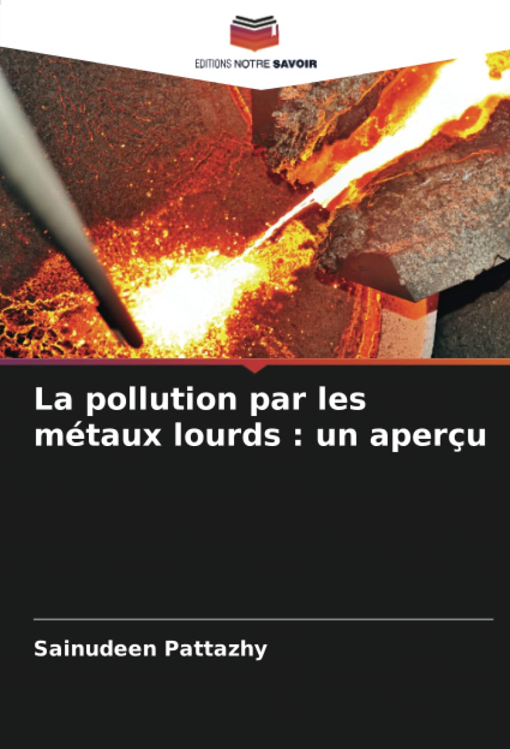 La pollution par les métaux lourds: un aperçu