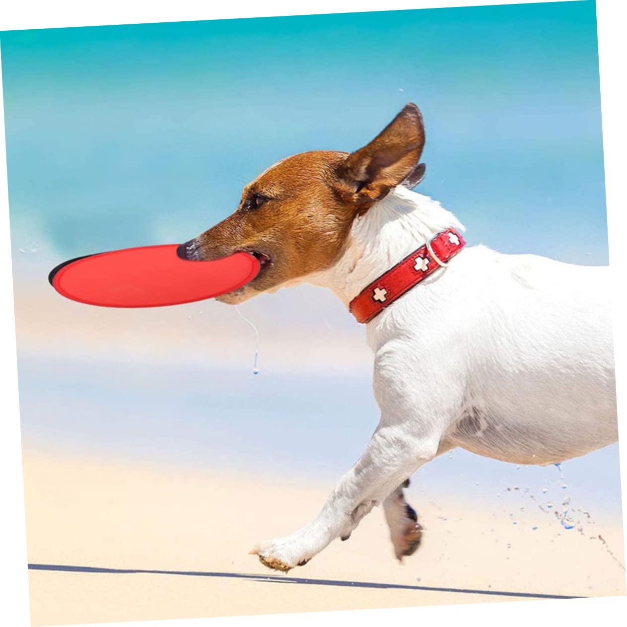 HONMEET 24pcs Foldable Flying Disc Hand Fan Foldable Folding Pocket Toy for Kids Collapsible Beach Toys Bulk Mini Toys Foldable Fan Handheld Round Fans Toy Foldable Fries - Image 4
