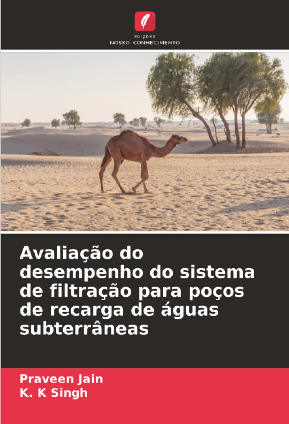 Avaliação do desempenho do sistema de filtração para poços de recarga de águas subterrâneas