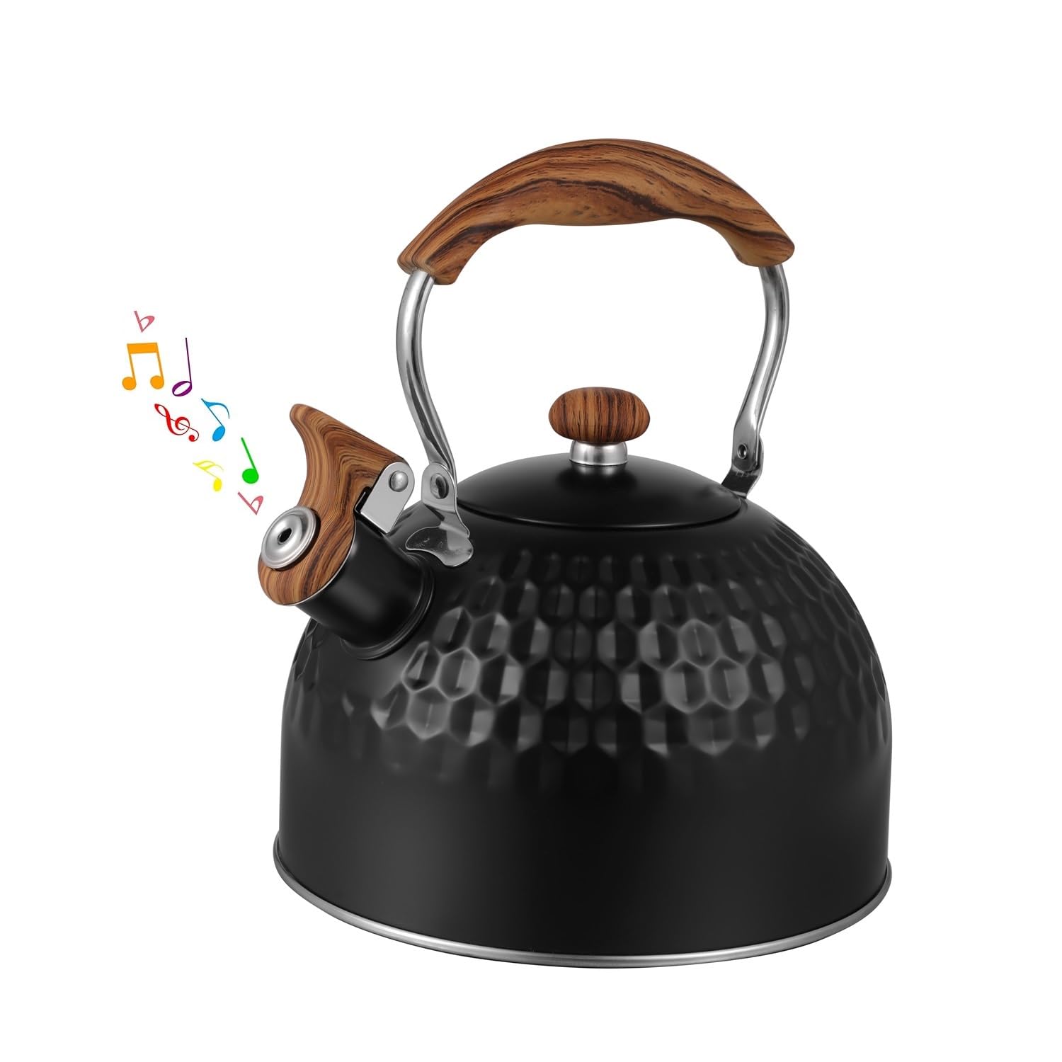 Tetera silbante de acero inoxidable, 2,5 L, color negro