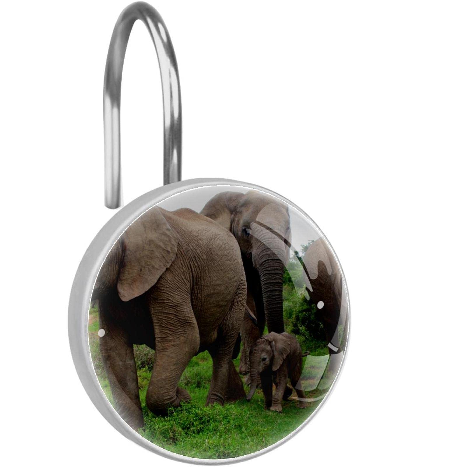 Crochets de rideau de douche éléphant africain en acier inoxydable x12