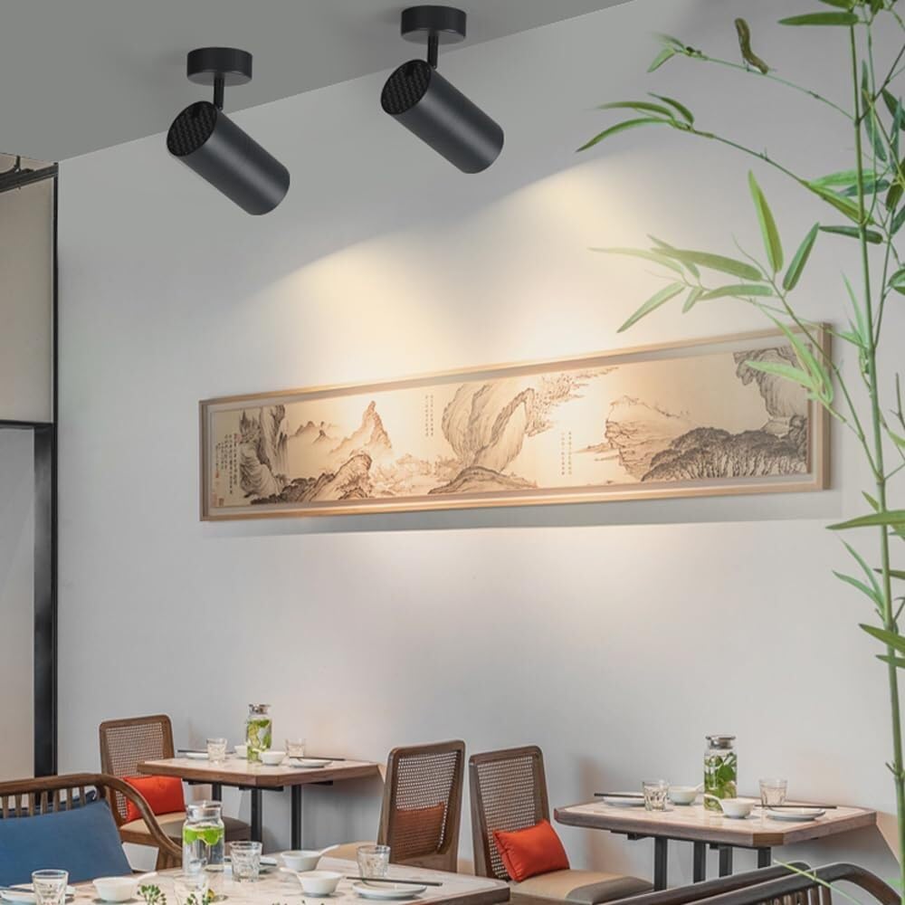 XBTGS Faretto, lampada da soffitto moderna ad angolo regolabile, lampada da parete per corridoio, scale o ingresso interno, faretto da soffitto piccolo per una sola casa, lampada, luce calda 3000 K-20