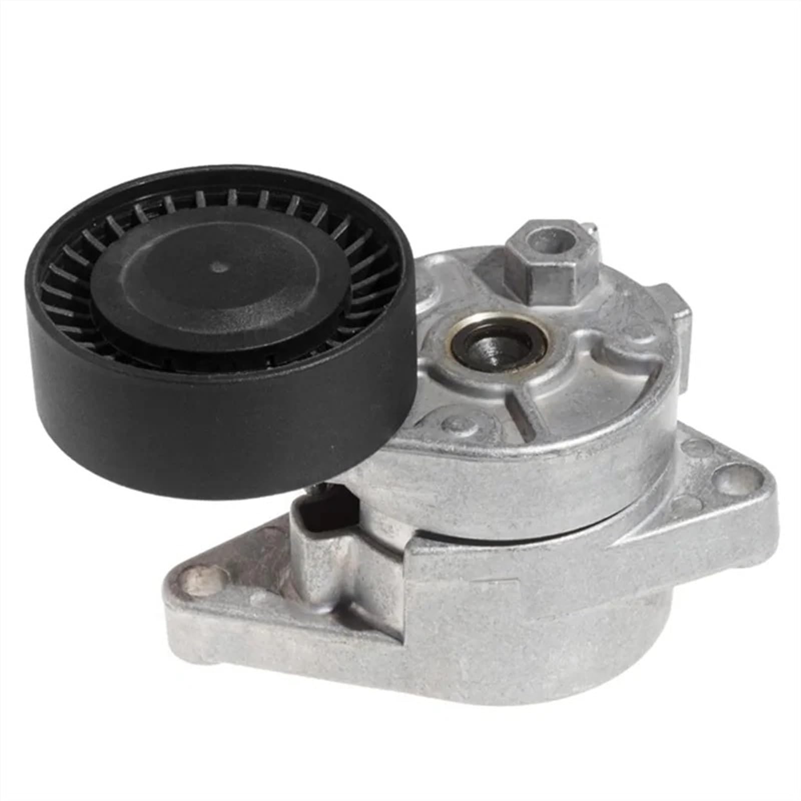Tendeur de courroie 11281427252 pour BMW E46 E39 X3 X5 E60