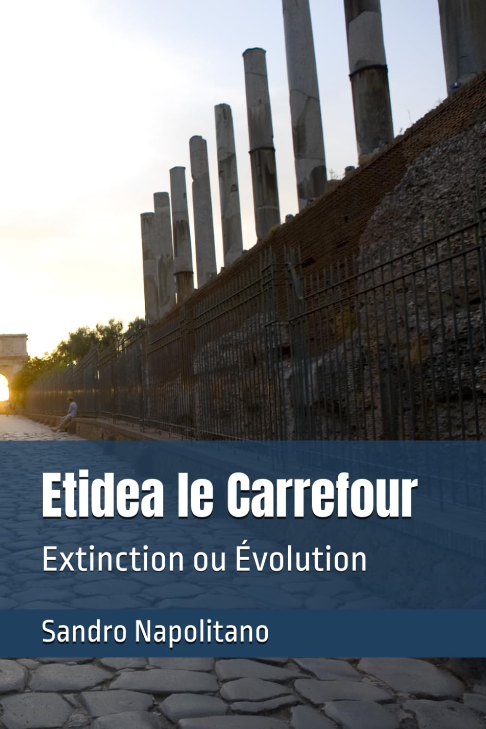 Etidea le Carrefour: Extinction ou Évolution (Etidea : Outils conceptuels pour réaliser des cartes et s'orienter quand les points de repère connus ne suffisent plus)