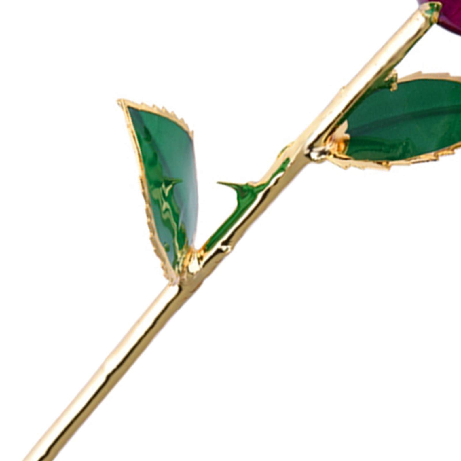 Dilwe Rosa Bañada en Oro 24K con Soporte