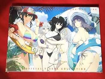 Amazon.co.jp: 閃乱カグラ TEN シノビマスター オフィシャル